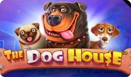 Romibet – The Dog House